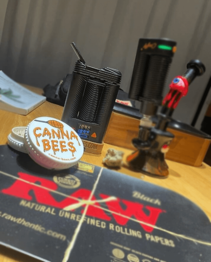 מייטי פלוס+ | Mighty plus+ Vaporizer canna-bees