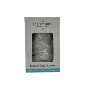 מנורת אור מפיצה ריח ציור ציפור