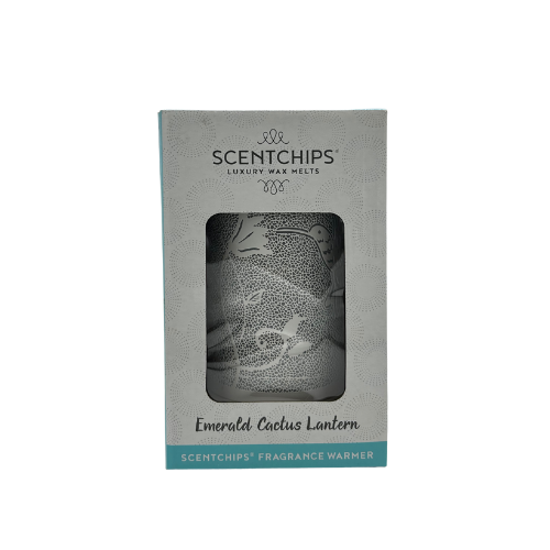 מנורת אור מפיצה ריח ציור ציפור